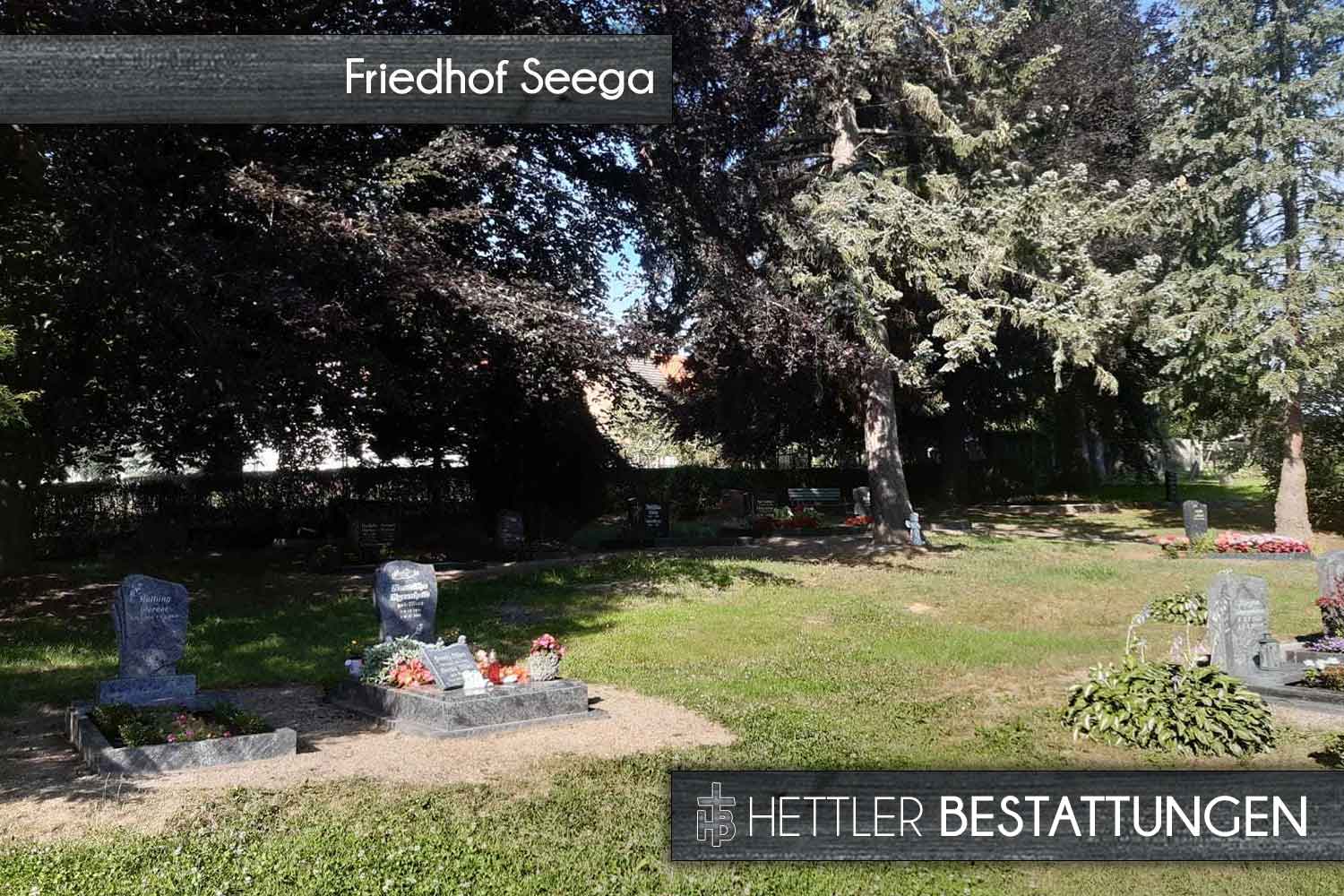 Friedhof in Seega. Ihr Ort des Abschieds mit Hettler Bestattungen.